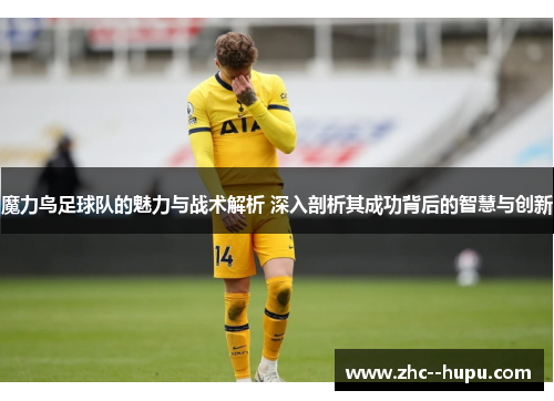 魔力鸟足球队的魅力与战术解析 深入剖析其成功背后的智慧与创新